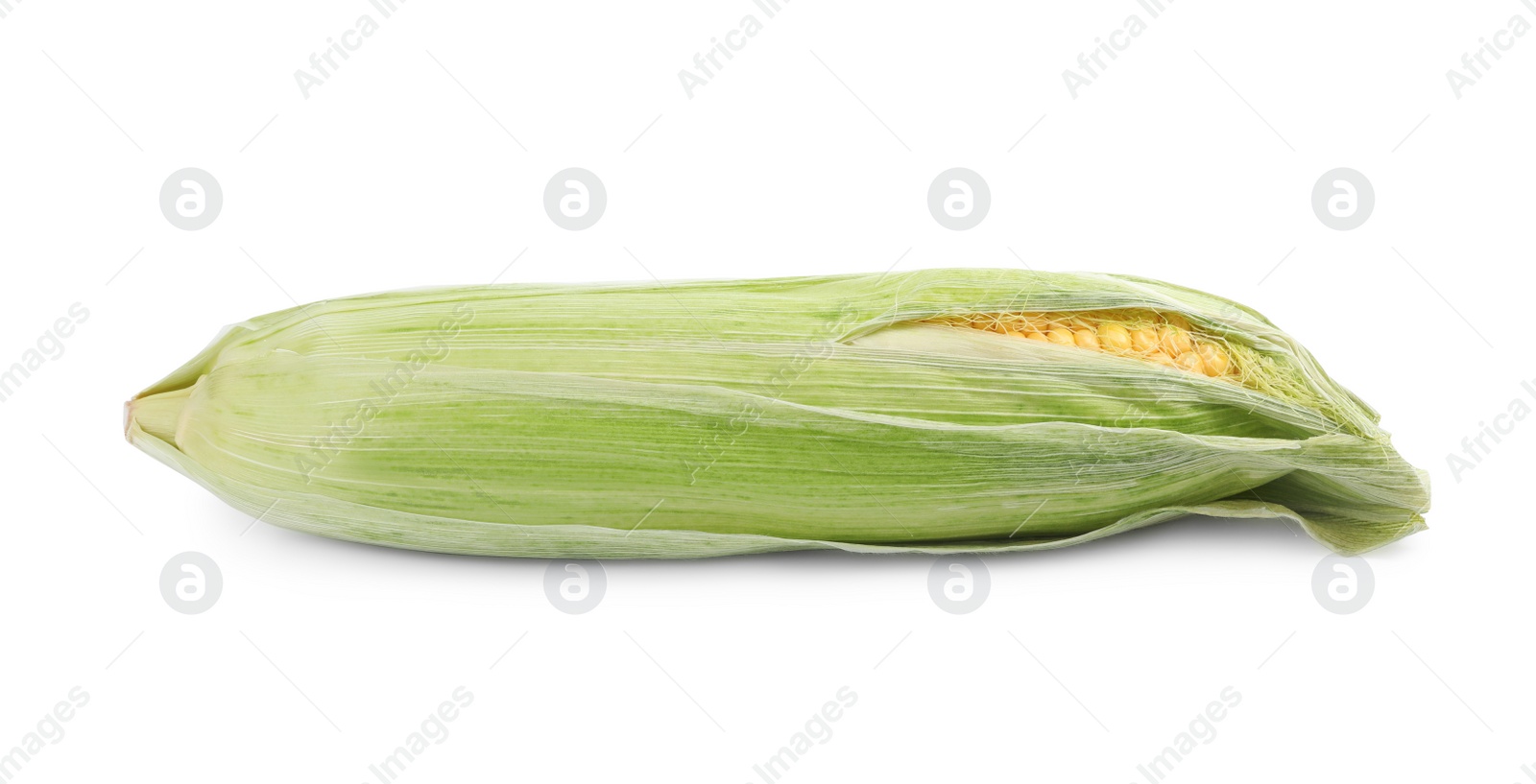 Photo of Ripe raw corn cob with husk isolated on white