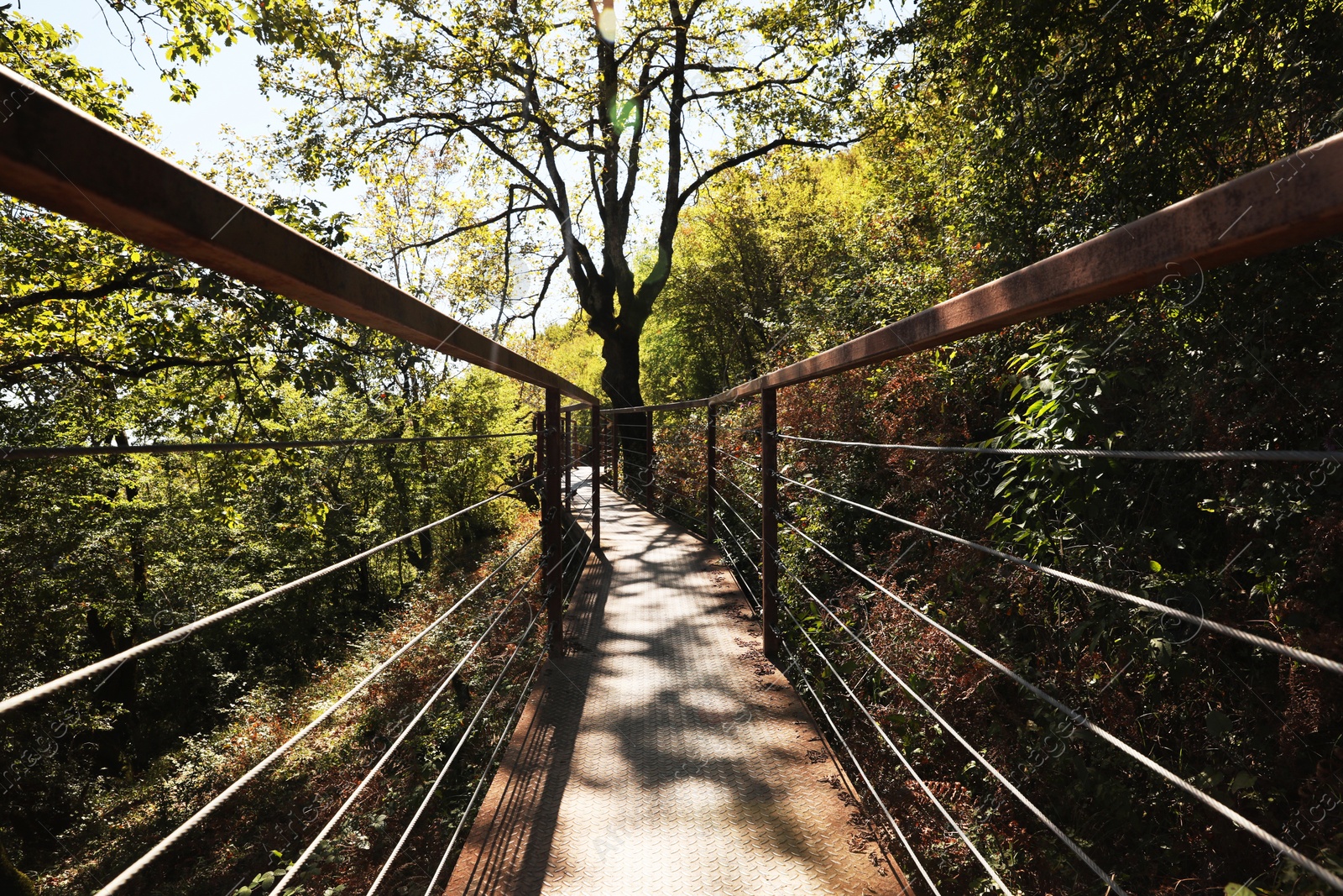 Photo of View of empty old stairs in park