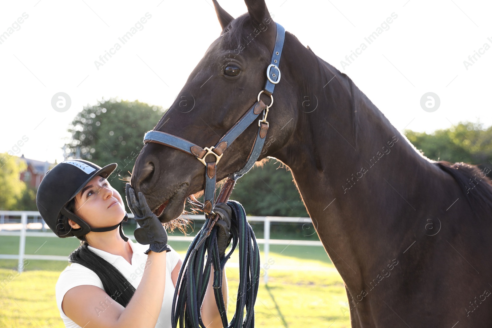 Photo of Young woman in horse riding suit and her beautiful pet outdoors on sunny day