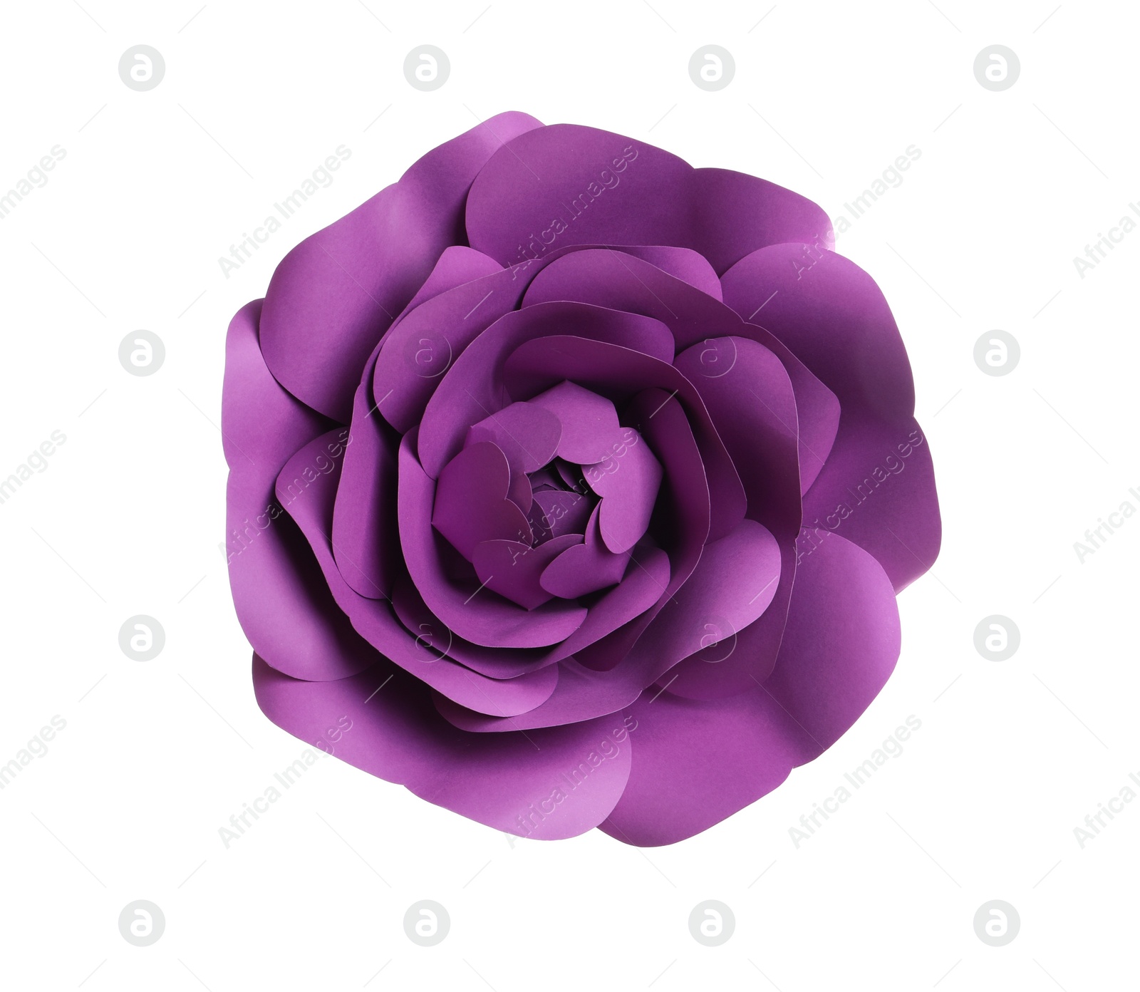 Photo of Beautiful purple flower made of paper isolated on white