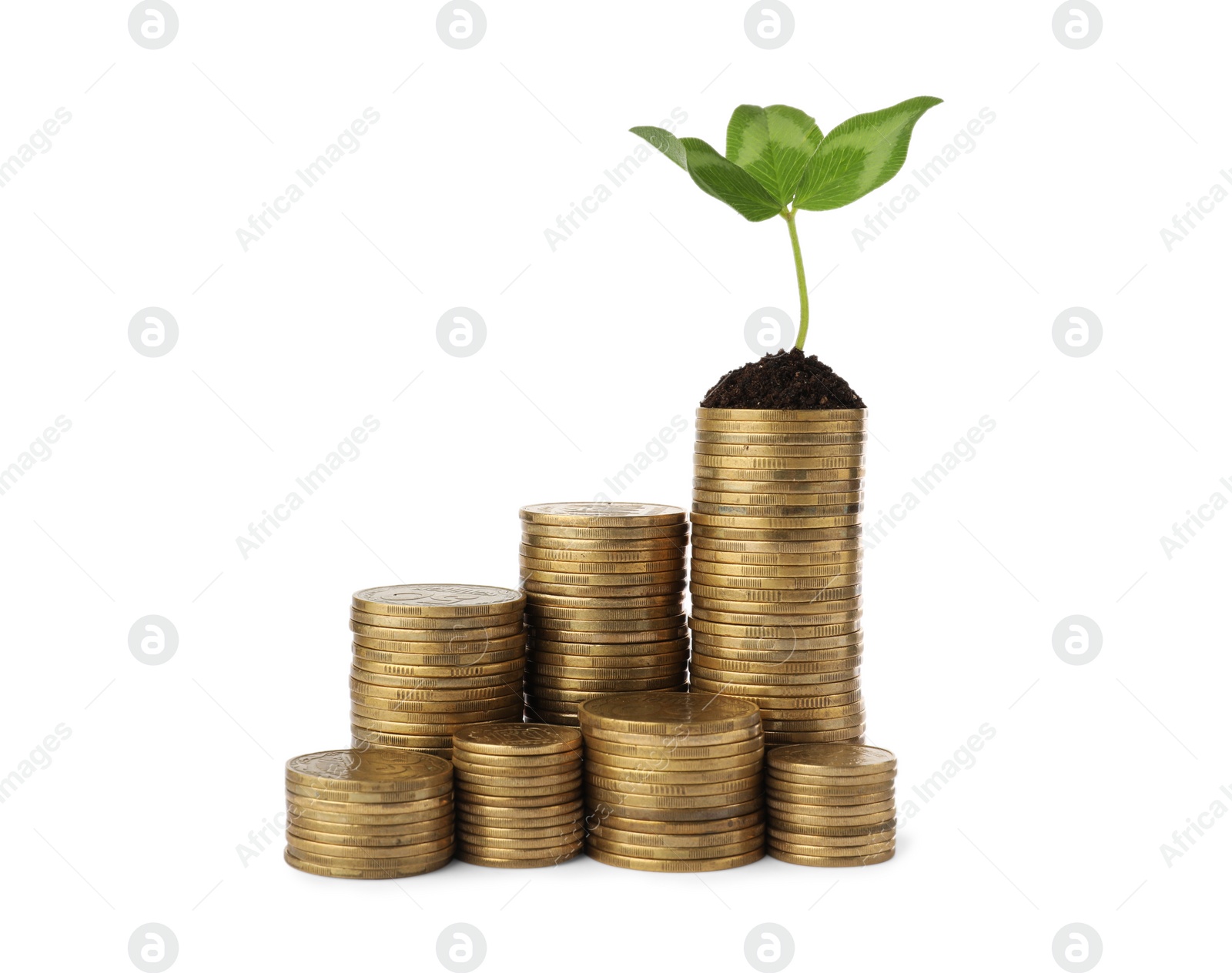 Photo of Stacks of coins and green plant on white background. Investment concept