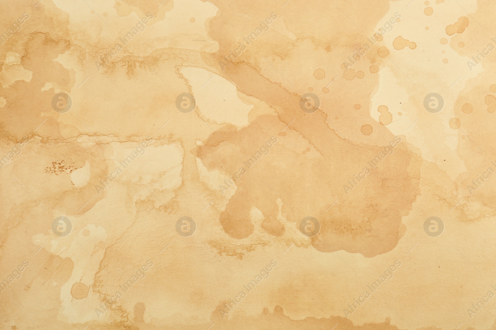 Photo of Sheet of parchment paper as background, top view