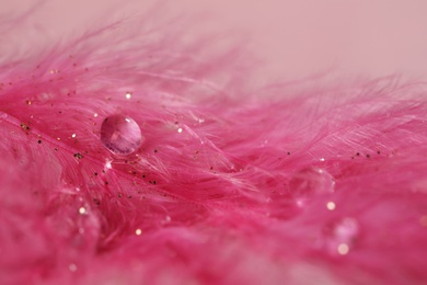 Closeup view of beautiful feather with dew drops and glitter