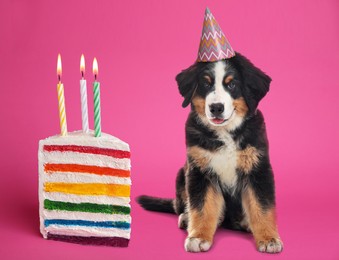 Cute dog with party hat and piece of delicious birthday cake on pink background