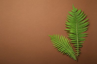 Beautiful tropical fern leaves on brown background, flat lay. Space for text