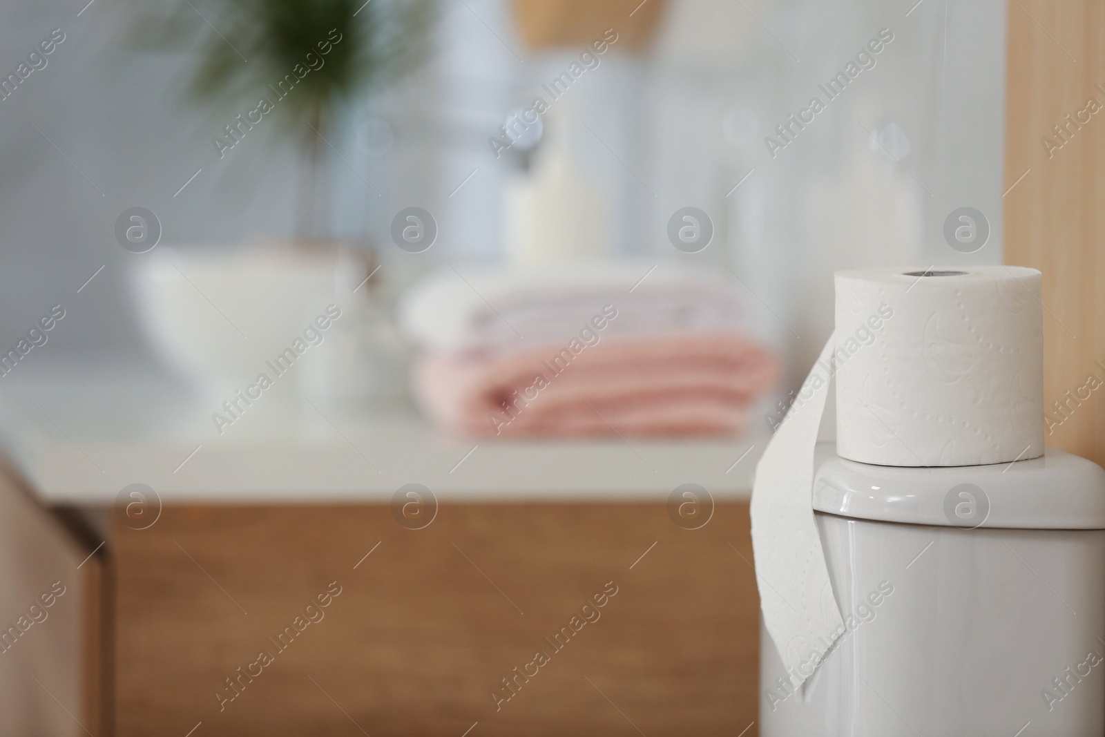 Photo of Paper roll on tank of toilet bowl in bathroom, space for text