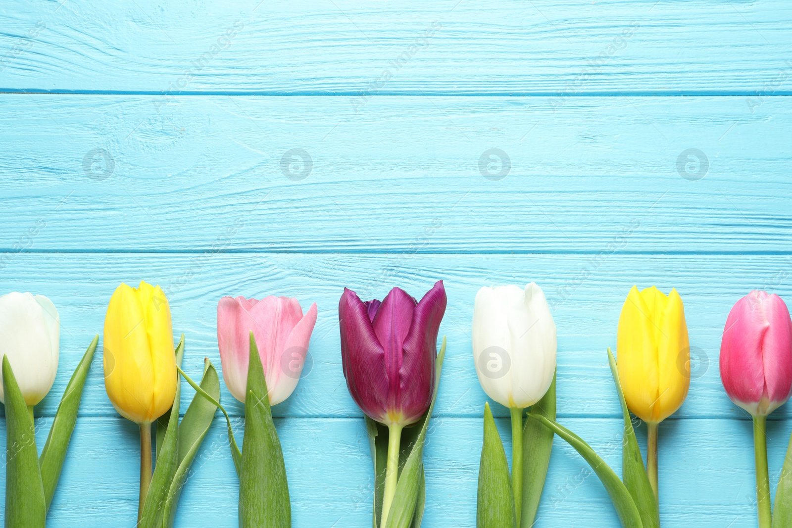 Photo of Flat lay composition of beautiful spring tulips on wooden background, space for text. International Women's Day