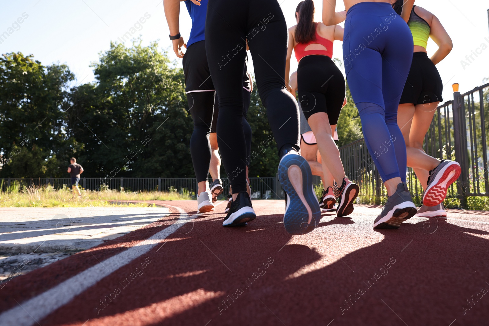 Photo of Group of people running at stadium on sunny day, back view. Space for text