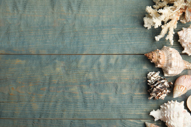 Different sea shells and coral on light blue wooden table, flat lay. Space for text