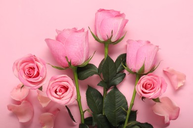 Photo of Beautiful roses on pink background, top view
