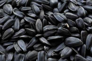 Photo of Pile of sunflower seeds as background, closeup