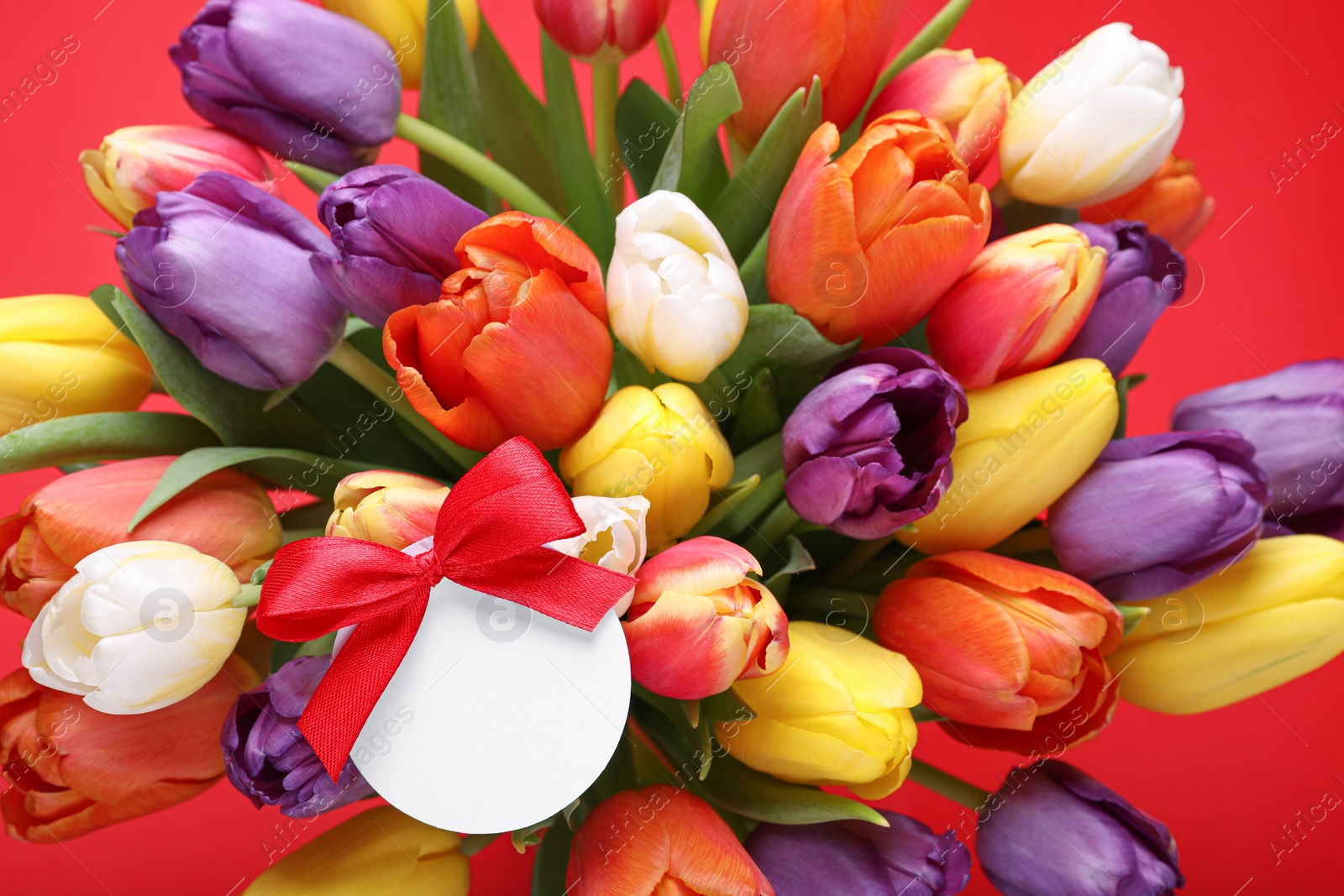 Photo of Bouquet of beautiful colorful tulips with blank card on red background. Birthday celebration