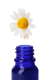 Essential oil dripping from chamomile petal into glass bottle on white background