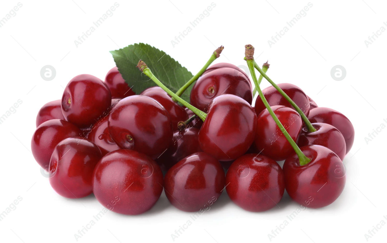 Photo of Bunch of juicy cherries on white background