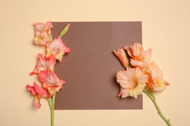 Beautiful gladiolus flowers with blank card on color background, top view