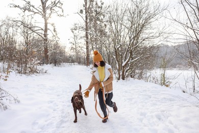 Woman with adorable Labrador Retriever dog running in snowy park