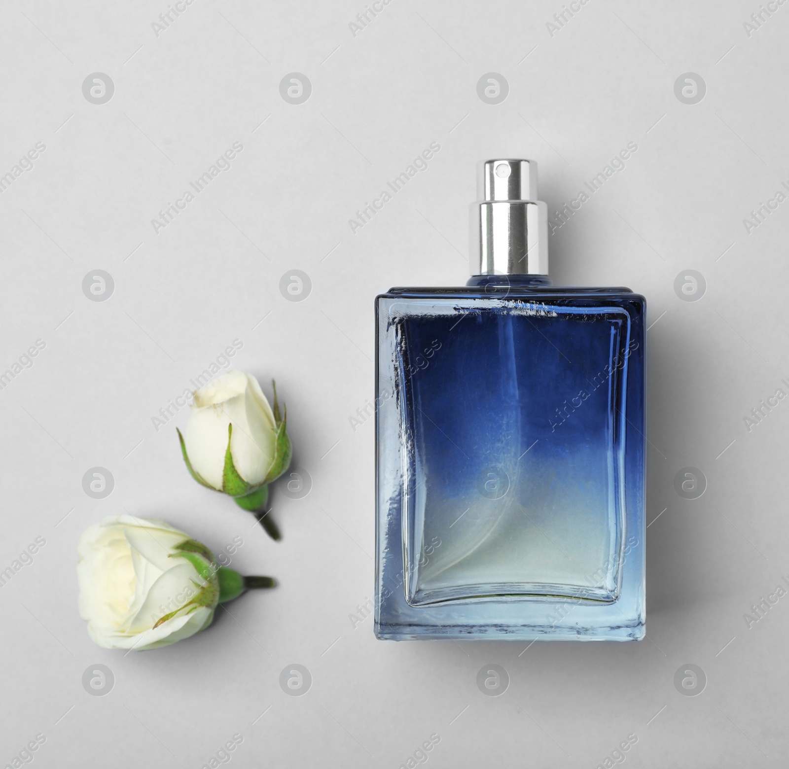 Photo of Bottle of perfume and roses on light background, top view