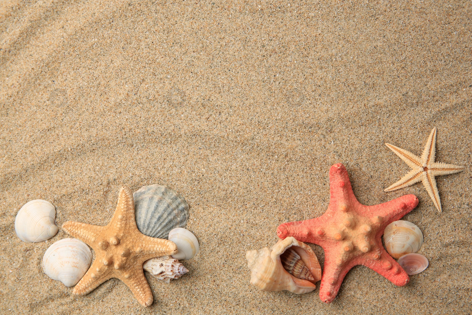 Photo of Beautiful sea stars and shells on sand, flat lay. Space for text