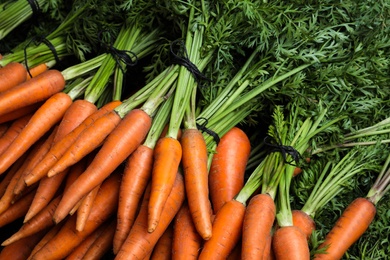 Bunches of tasty raw carrots as background