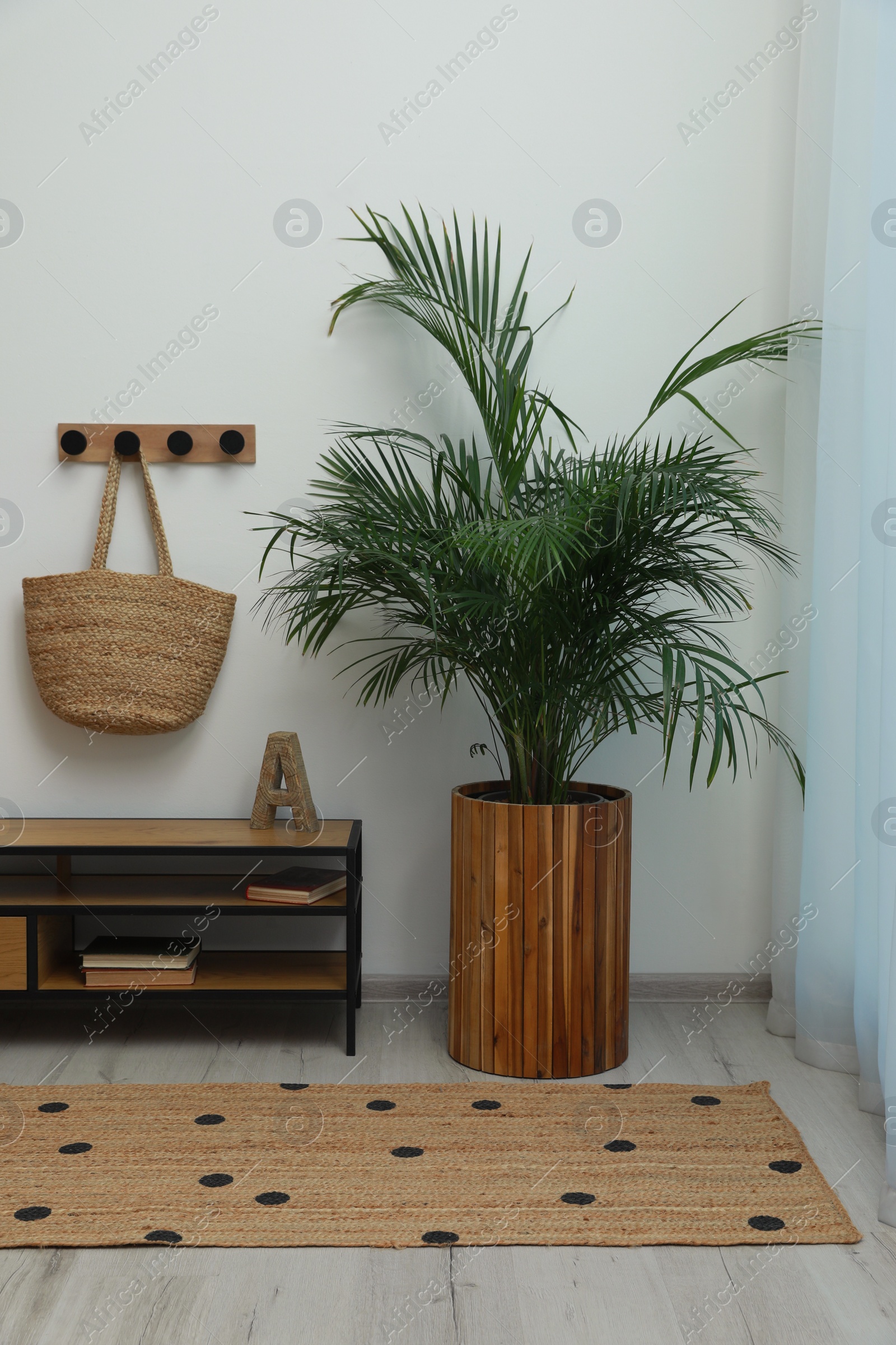 Photo of Hallway interior with beautiful green houseplant near window