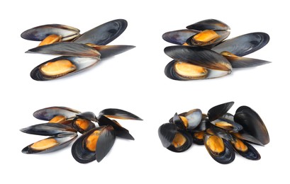 Image of Set with tasty cooked mussels on white background 