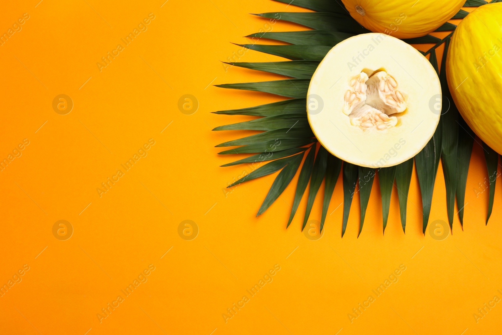 Photo of Composition with ripe tasty melons on orange background, flat lay. Space for text