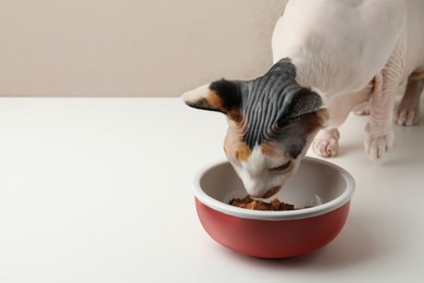 Photo of Cute Sphynx cat eating wet food from bowl on white table, space for text