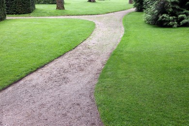 Photo of Pathway surrounded by beautiful green lawn outdoors. Landscape design
