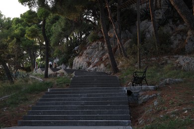 Stone outdoor stairs and green trees in park