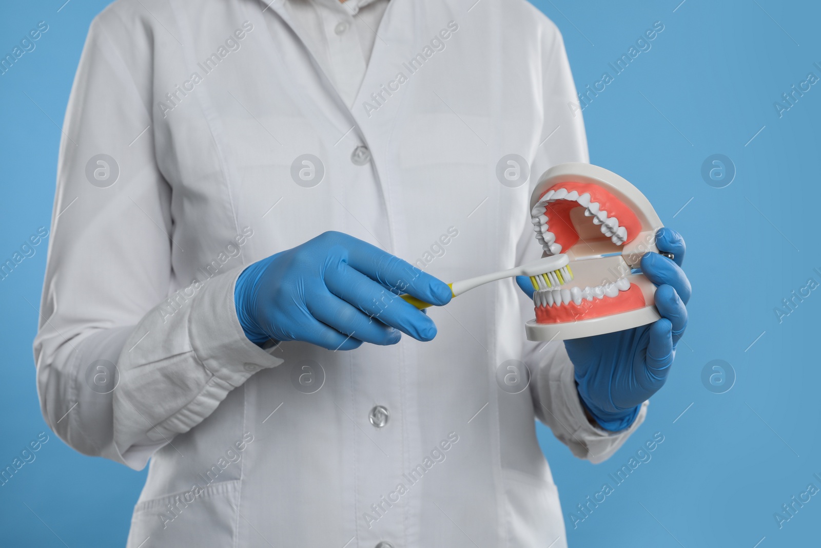 Photo of Dentist with jaws model and toothbrush on light blue background, closeup. Oral care demonstration