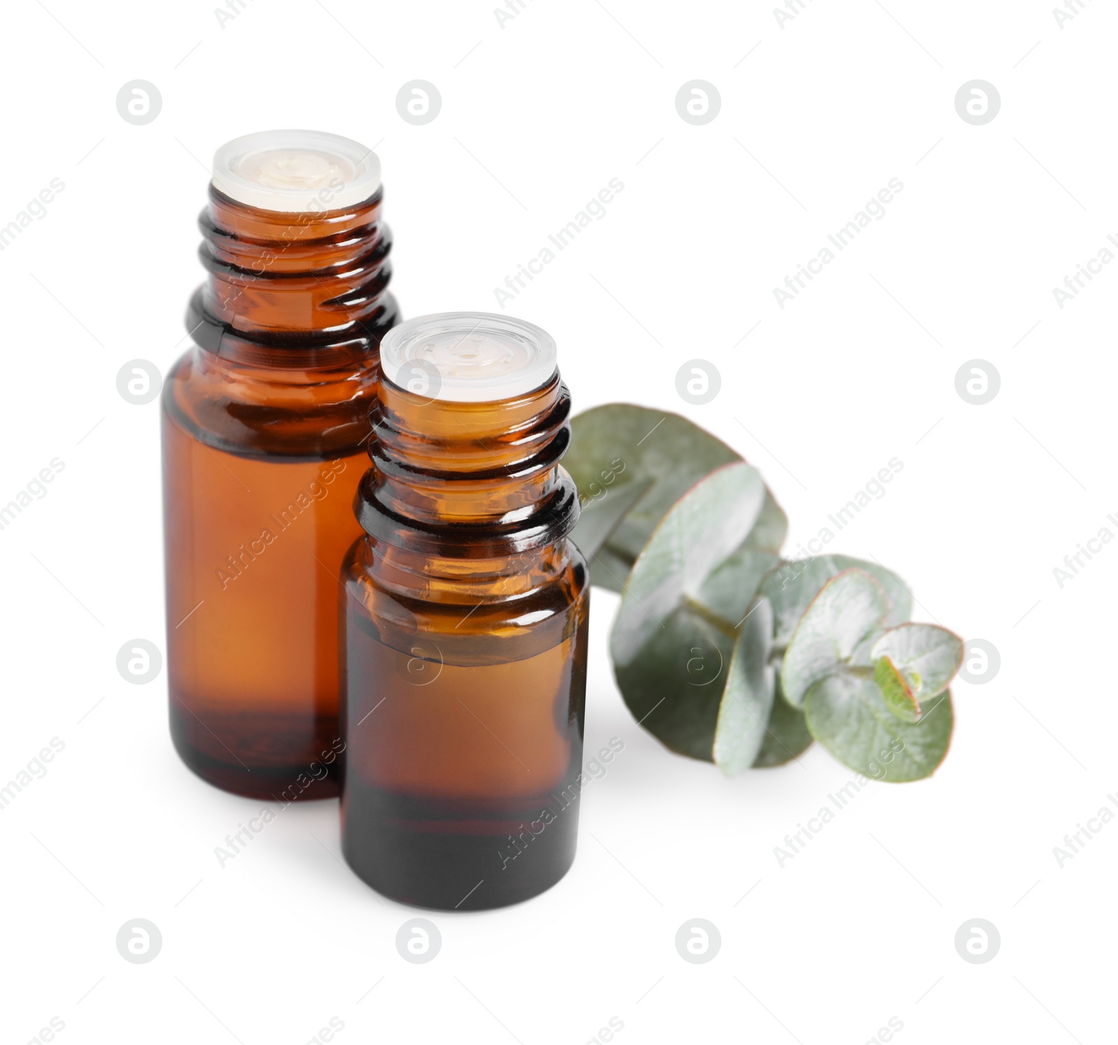 Photo of Bottles of eucalyptus essential oil and plant branch on white background