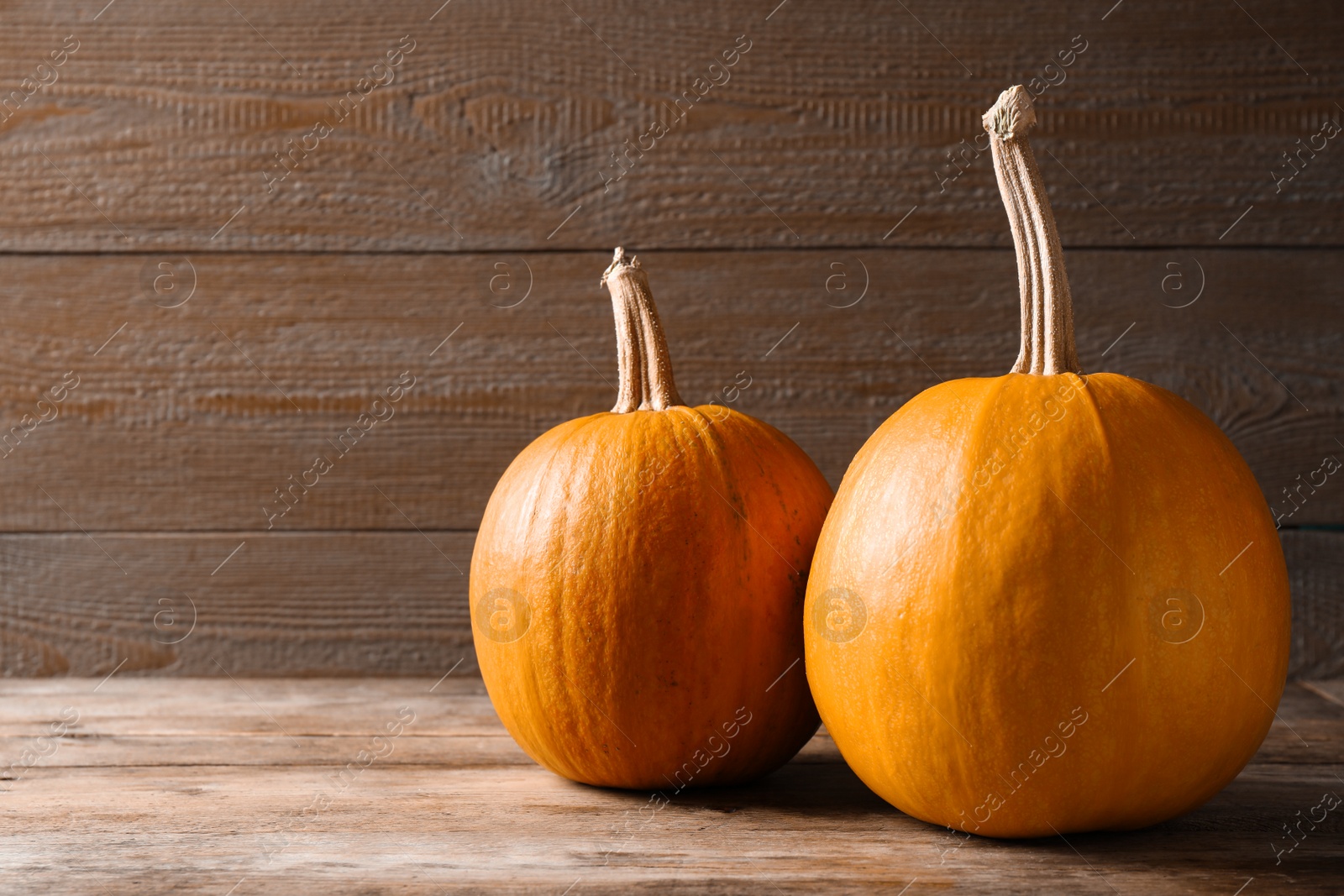 Photo of Ripe pumpkins on wooden background, space for text. Holiday decoration