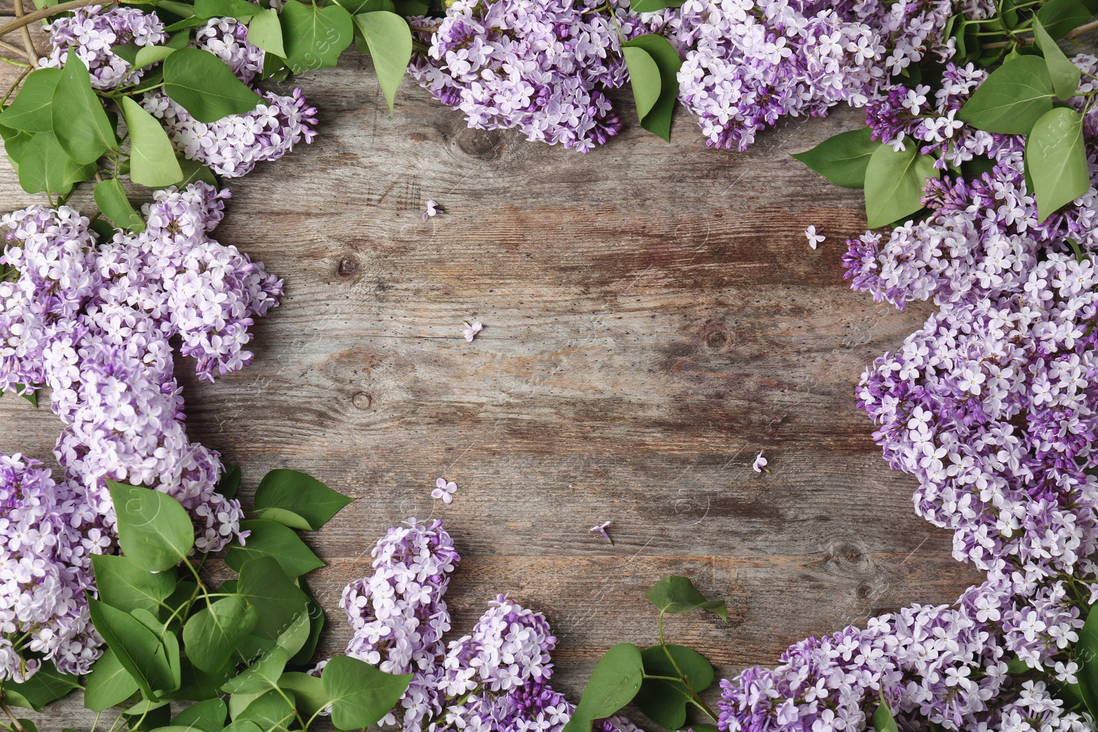 Photo of Blossoming lilac on wooden background, top view. Spring flowers