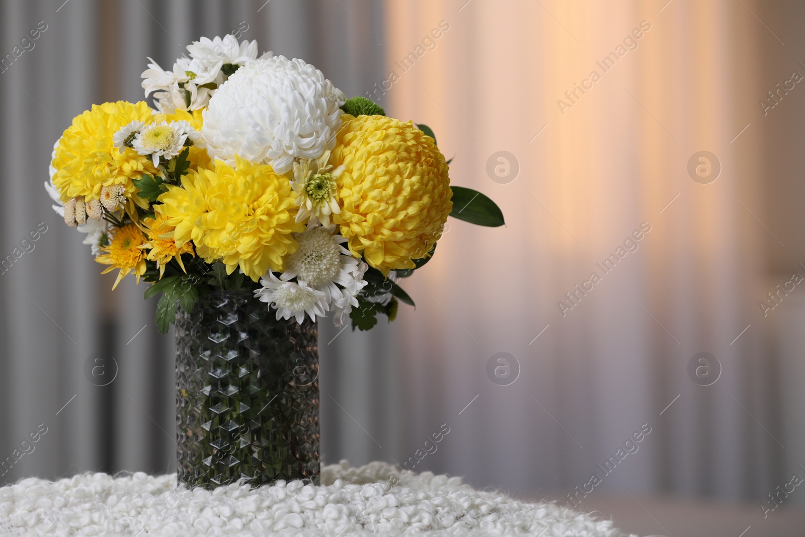 Photo of Bouquet of beautiful chrysanthemum flowers in vase indoors, space for text