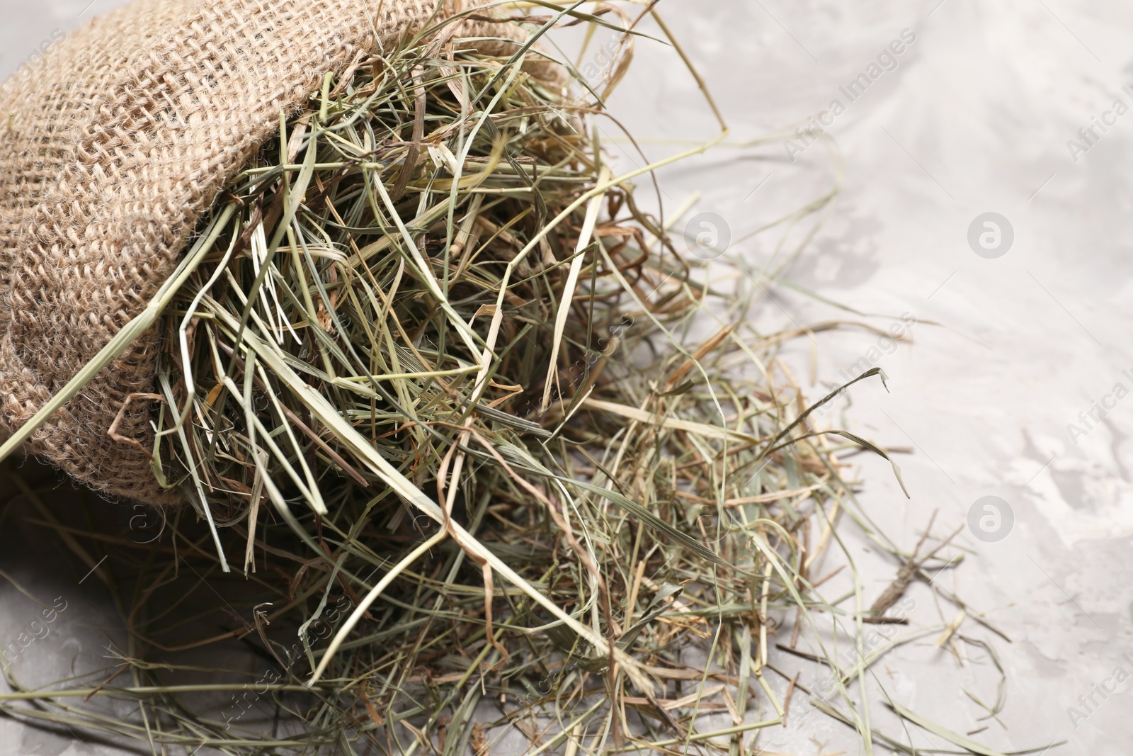 Photo of Dried hay in burlap sack on light grey textured table, closeup. Space for text