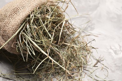 Dried hay in burlap sack on light grey textured table, closeup. Space for text