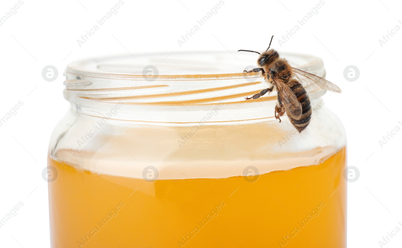 Photo of Jar with honey and bee on white background