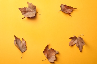 Dry autumn leaves on yellow background, flat lay. Space for text