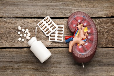 Photo of Kidney model and pills on wooden table, flat lay