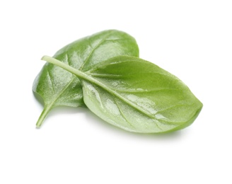 Photo of Fresh green basil leaves on white background