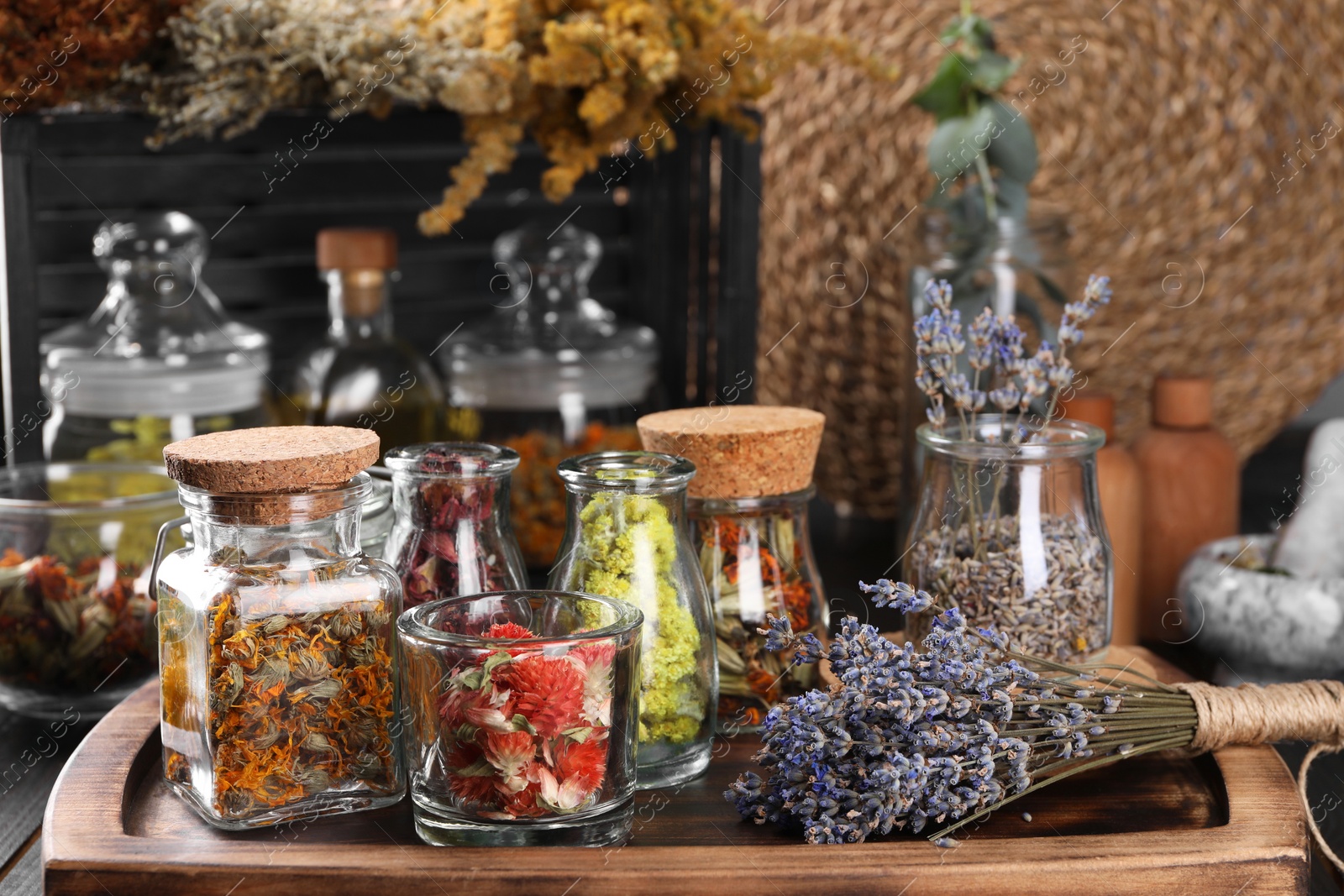 Photo of Many different herbs and dry lavender flowers on wooden table