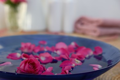 Photo of Pink rose and petals in bowl with water on table, closeup