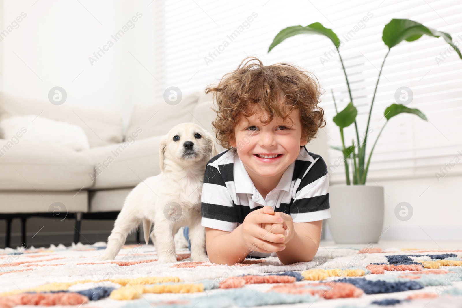 Photo of Little boy with cute puppy on carpet at home