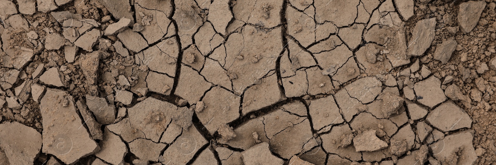 Image of Dry cracked ground as background, top view. Banner design