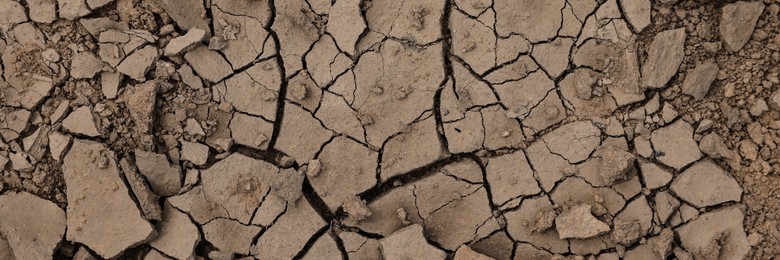 Image of Dry cracked ground as background, top view. Banner design