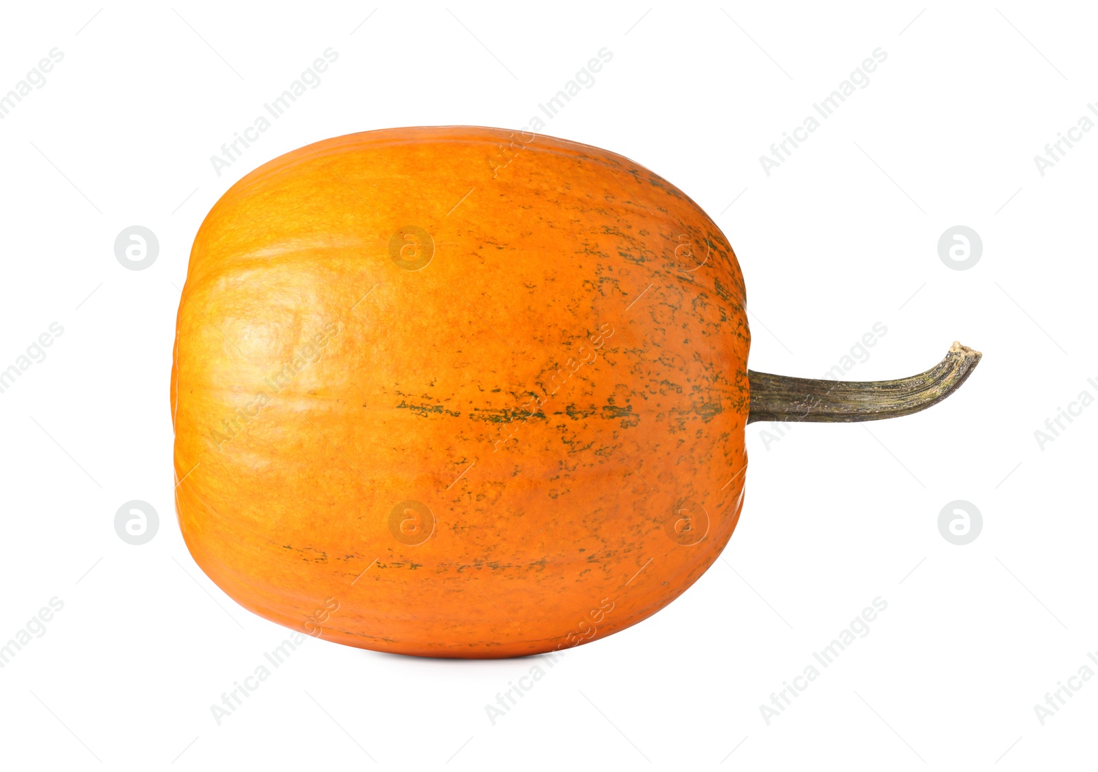 Photo of One fresh orange pumpkin isolated on white