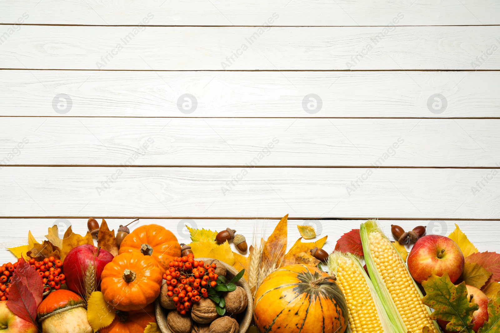 Photo of Flat lay composition with ripe pumpkins and autumn leaves on white wooden table, space for text. Happy Thanksgiving day