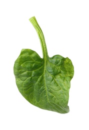 Photo of Fresh leaf of spinach isolated on white