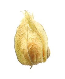 Photo of Ripe physalis fruit with calyx isolated on white