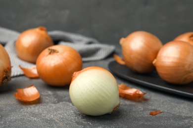 Photo of Ripe onions on grey table, space for text